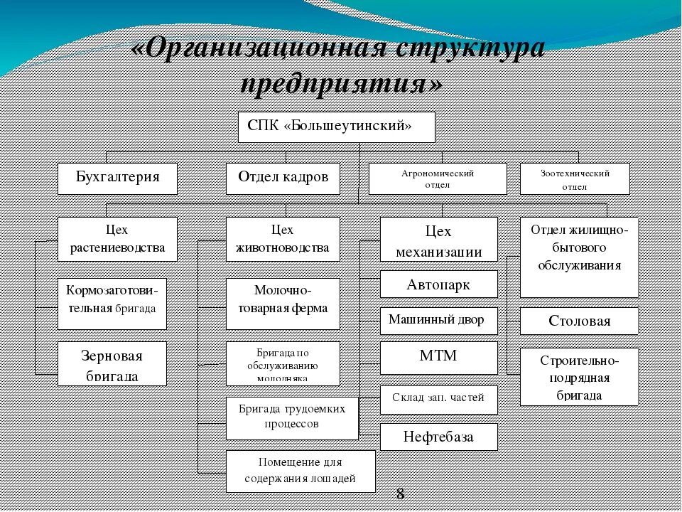 Какая структура организации первична. Организационно-управленческая структура предприятия схема. Схема организационной структуры организации пример. Оргструктура сельскохозяйственного предприятия пример. Организационная структура сельхозпредприятия схема.