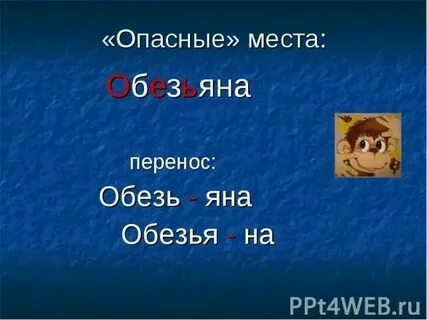 Как переносить слово обезьяна