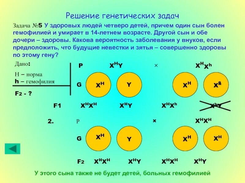 Четверо детей как правильно. Задачи решение по генетике заболевания. Вывод по теме решение генетических задач по биологии. Задачи по генетике пола 9 класс с решением. Решение задач по генетике с нуля.