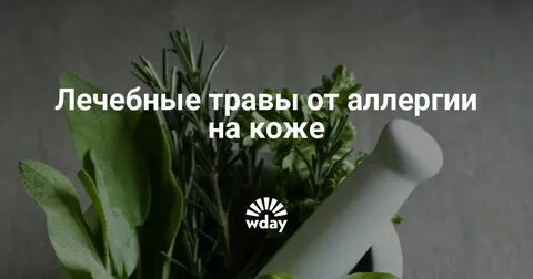 Травы от аллергии