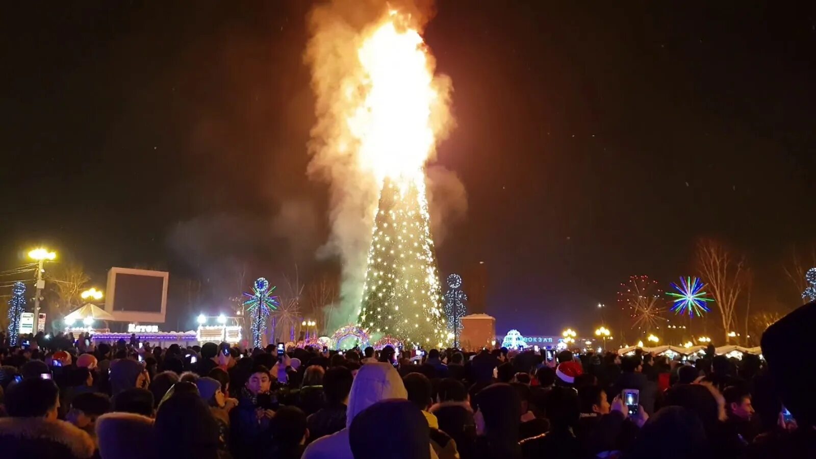 Елка горит. Новогодняя елка горит. Сгоревшая елка. Новогодняя елка в Огнях. 23 декабря через