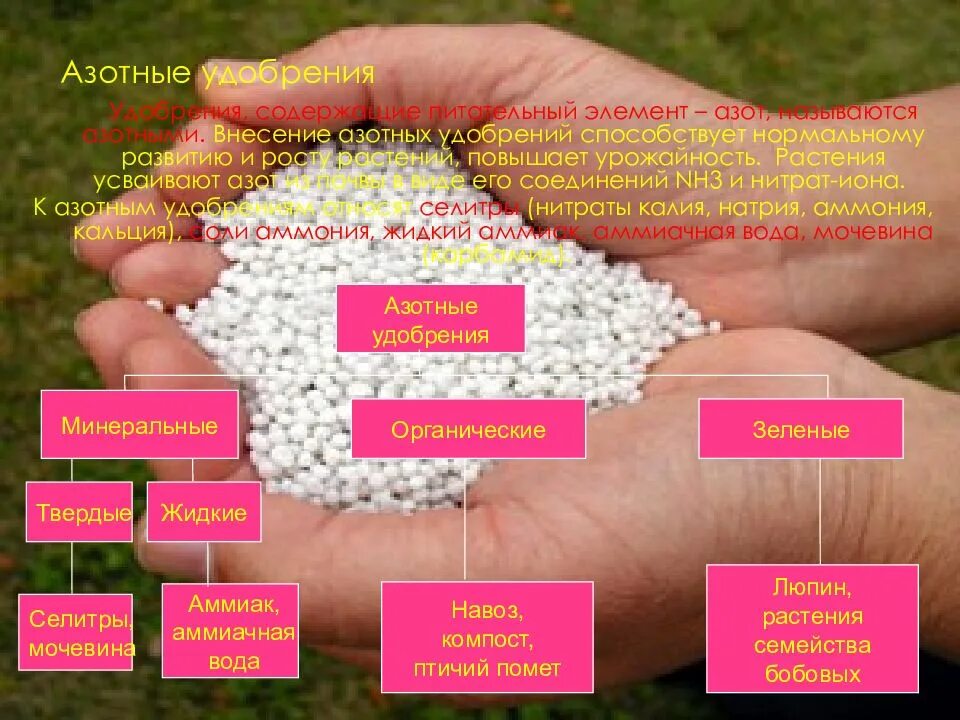 Сколько азота надо вносить. Азотные удобрения. Азотные Минеральные удобрения. Форма азота в Минеральных удобрениях. Внесение азотных удобрений.
