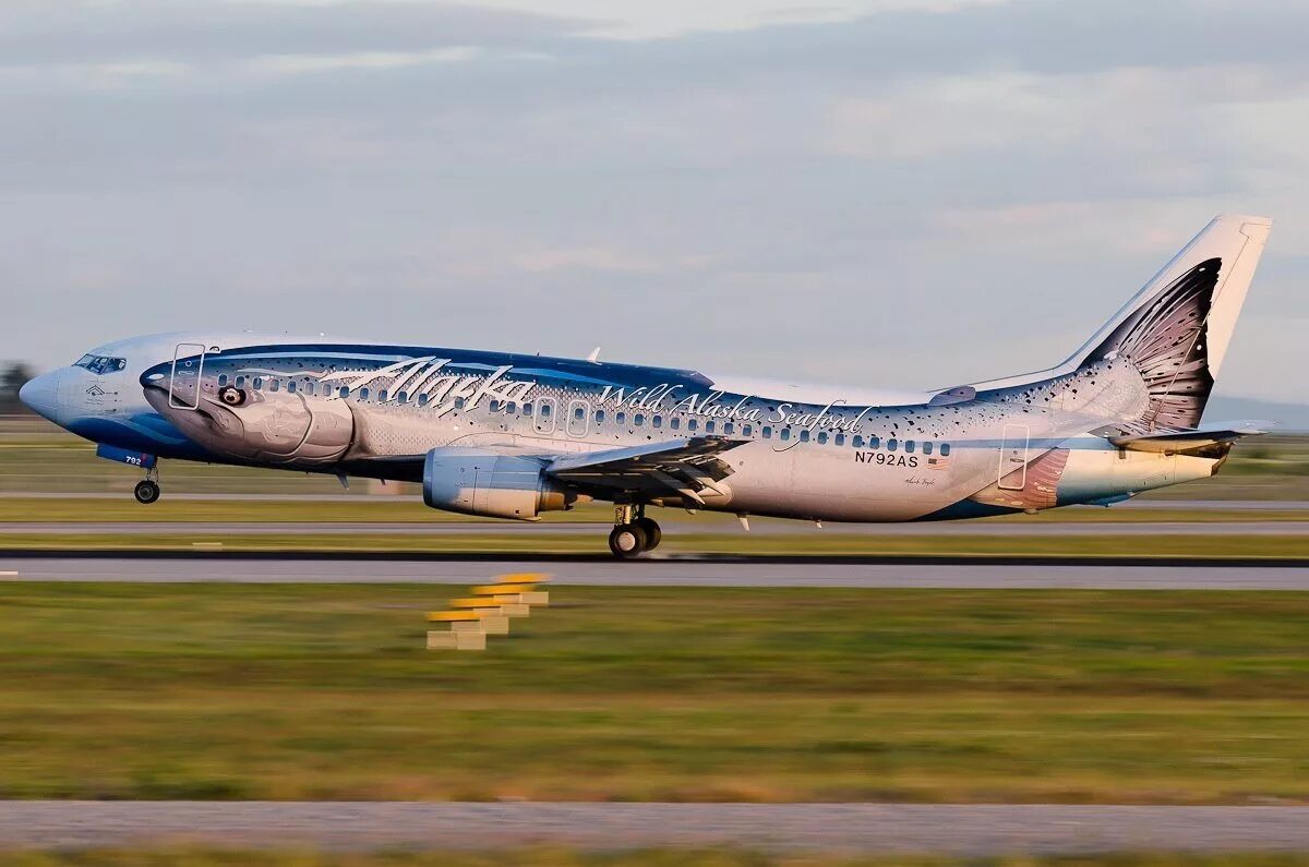 Aeroflot livery. Боинг 737 ливреи. Ливрея авиакомпании Alaska Airlines. Авиакомпания на Аляске ливрея. МС-21 ливреи.