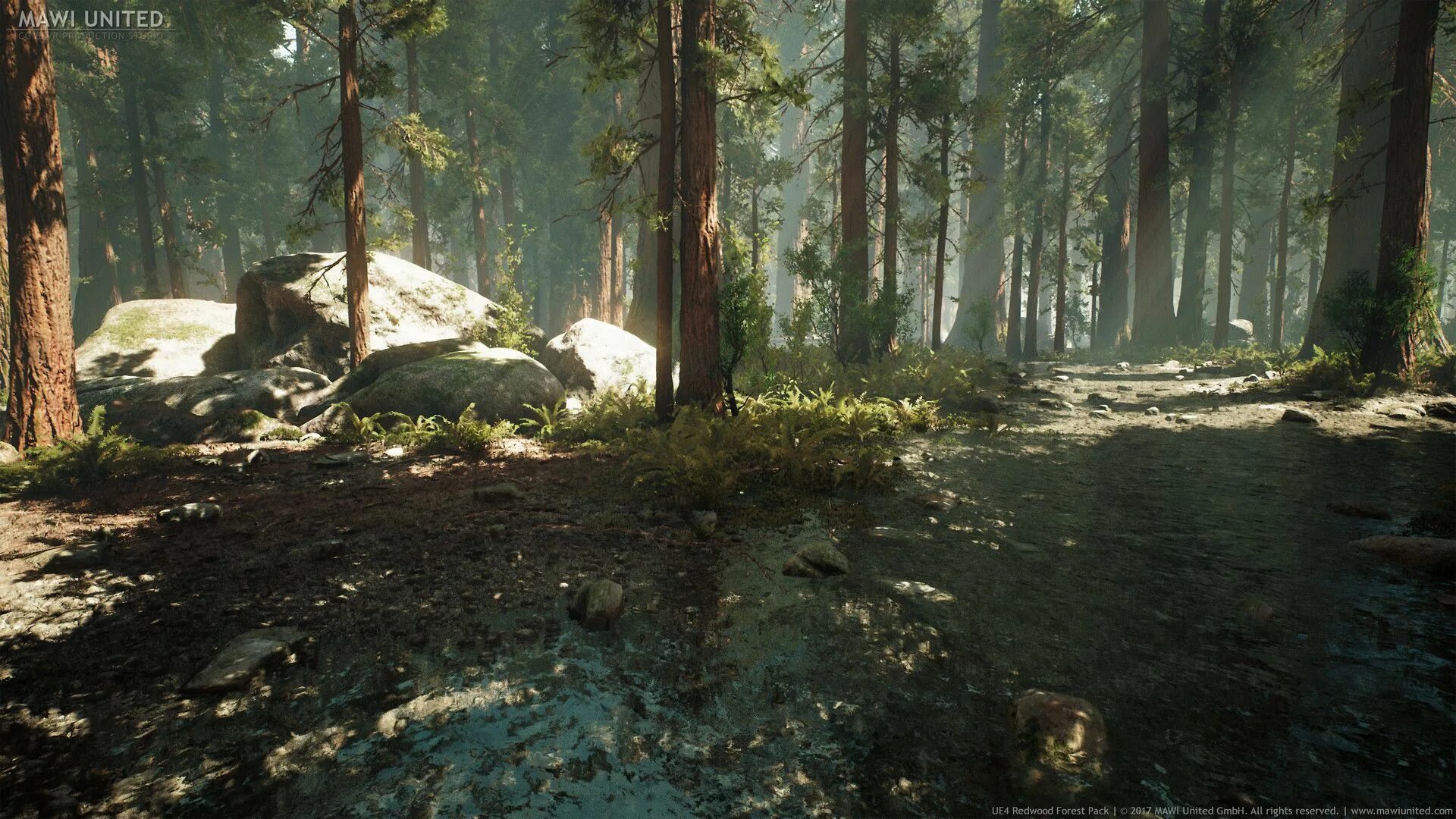 Сказочный лес реалистичный. Forest 4 отзывы. Unreal engine 5 лес. Forest 4 отзывы. Лес в тумане.