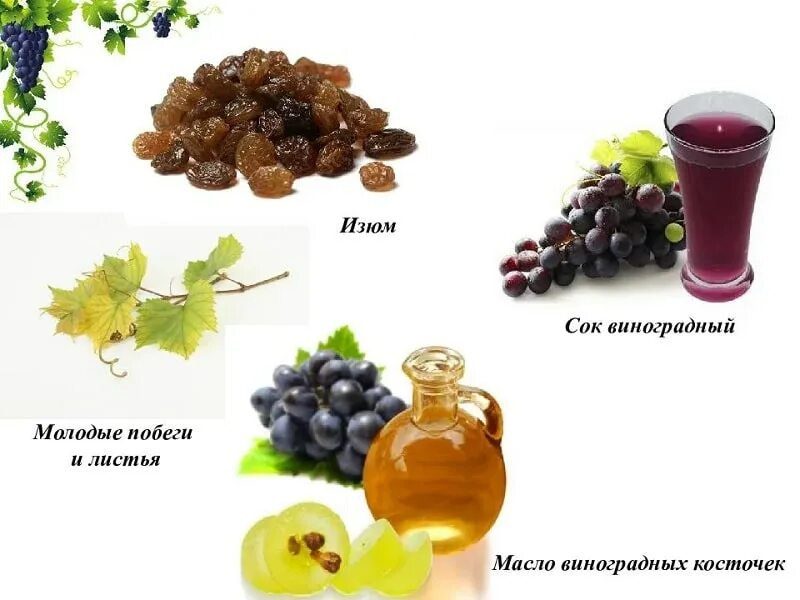 Какого витамина больше всего в винограде. Железо в винограде. Антиоксиданты в винограде. Виноград калорийность. Виноград много ли железа.