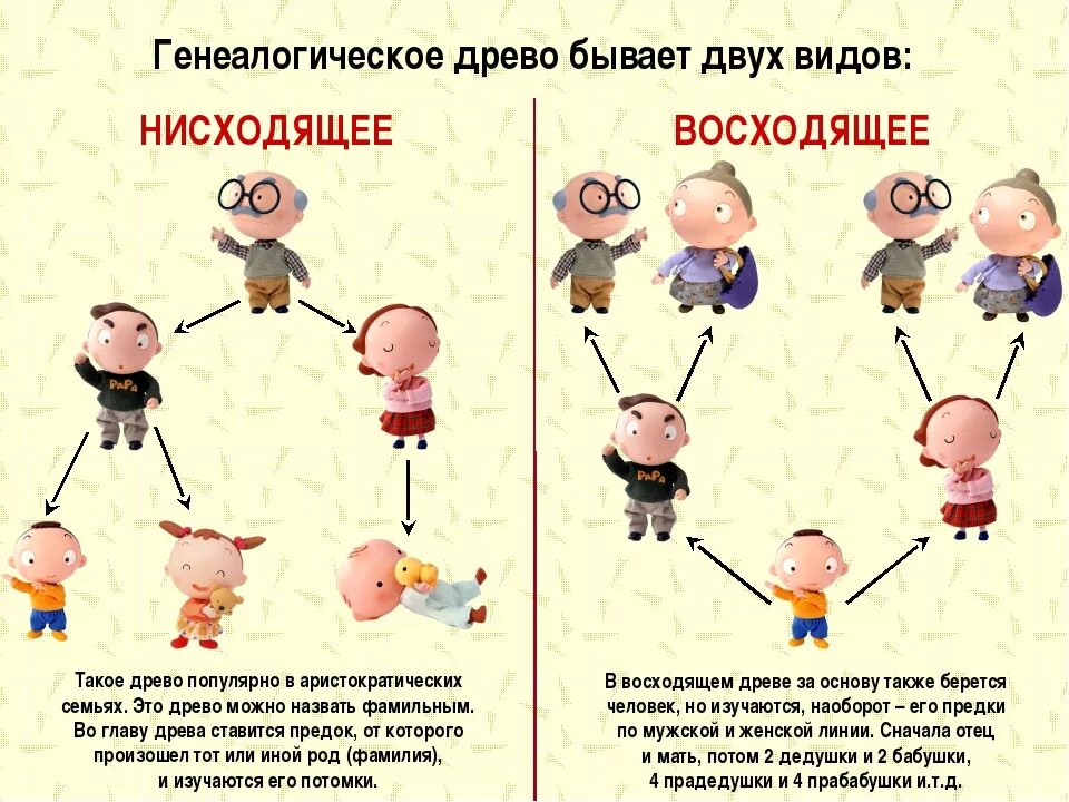 Какие родственники у человека. Генеалогическое Древо степень родства. Родословное дерево нисходящая схема. Семейное Древо восходящее нисходящее. Восходящее и нисходящее родство.