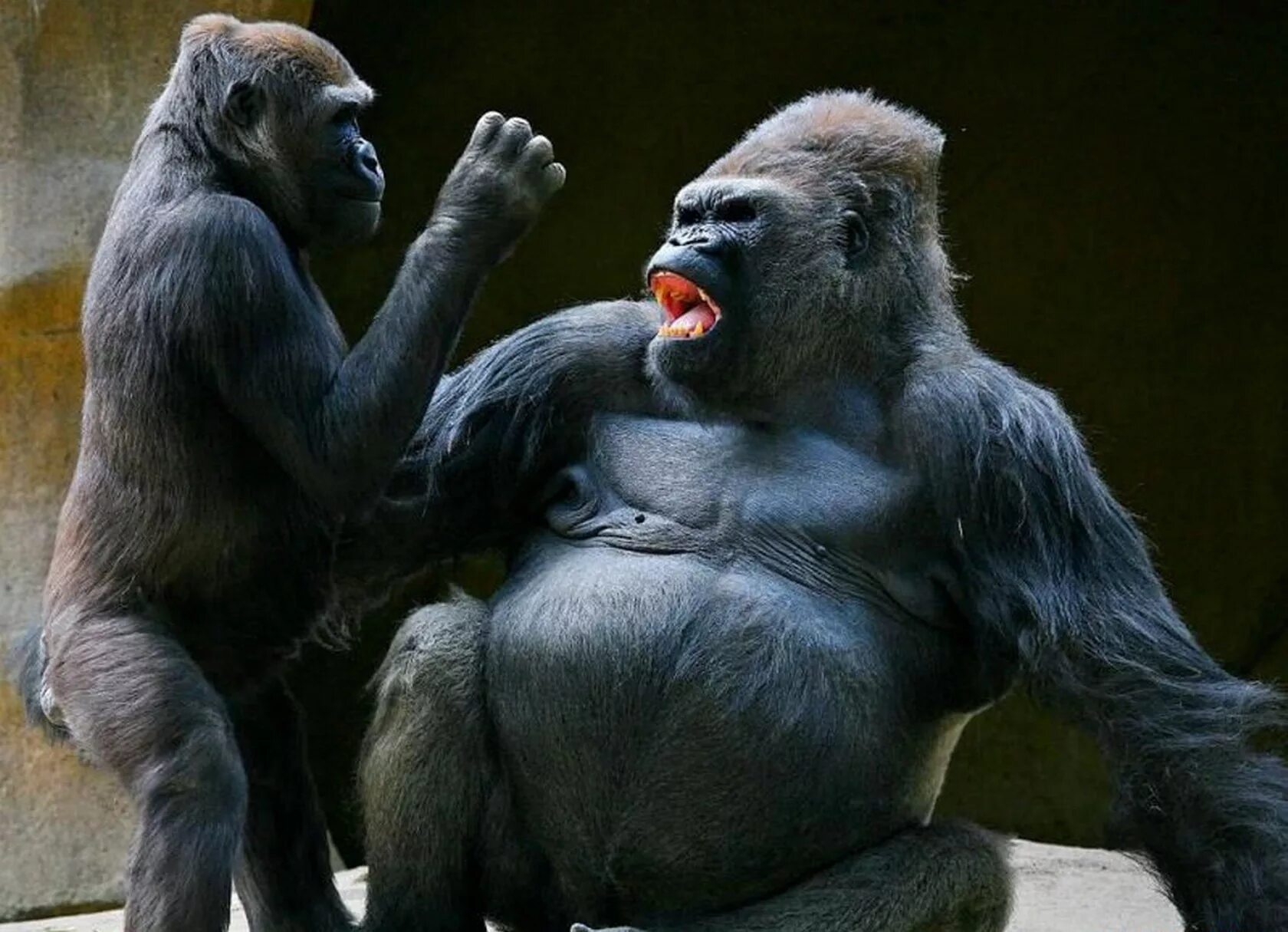 Я тебя люблю. Любимый обиделся. Картинки мне все равно. Я тебя добьюсь. Прорвемся статус.