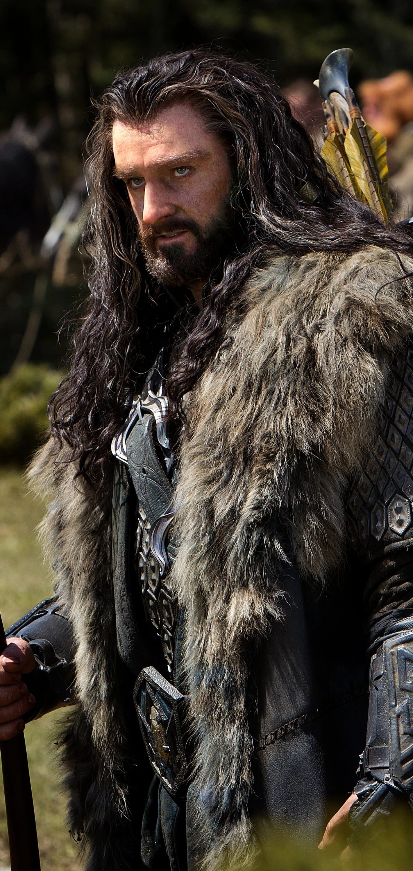 Хоббит дубощит. Торин дубощит. Хоббит торин. Хоббит дубощит. Король гномов торин дубощит.