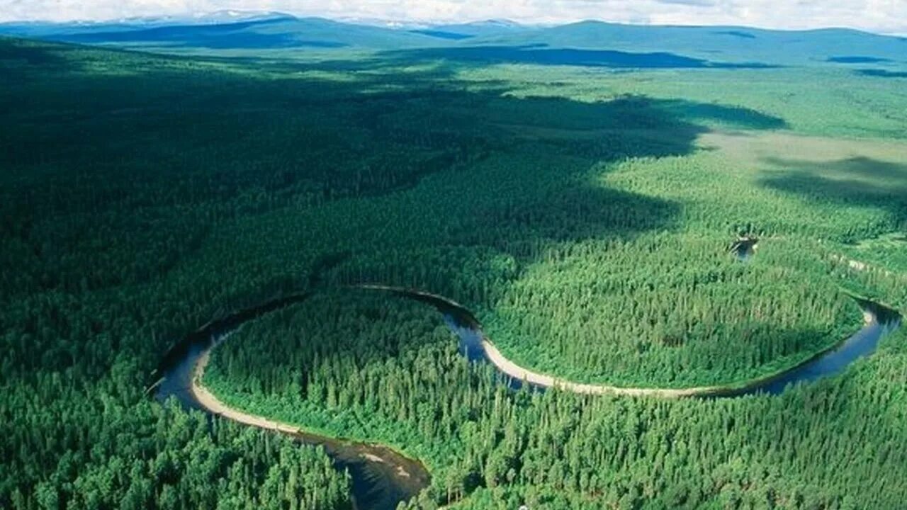 Страны без лесов. Лес вид сверху. Лесные ресурсы России. Водные и Лесные ресурсы. Тайга с высоты.