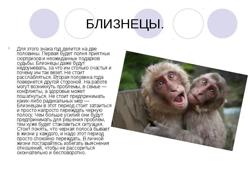 Женщина близнецы год обезьяны
