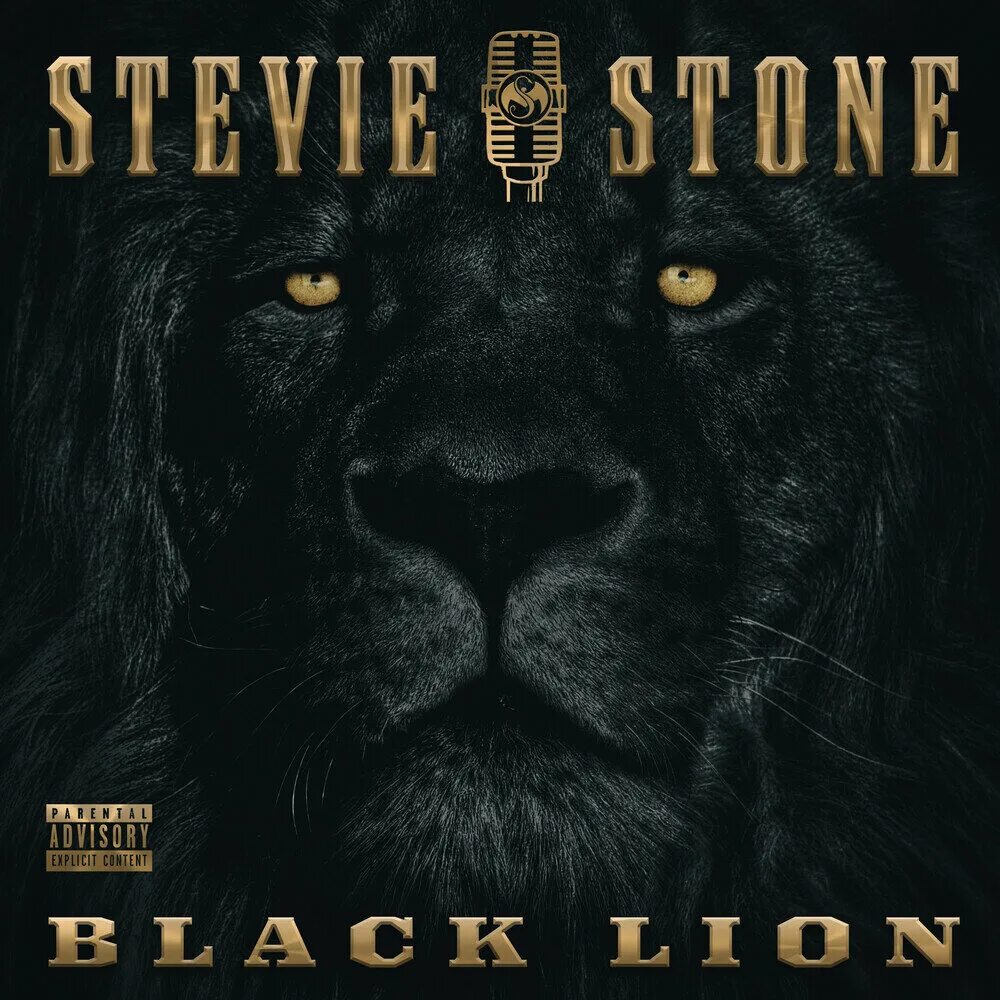 Stevie stone. Блэк Лион. Стиви Стоун фото. Чернай ЛНВ на обложке альбома.