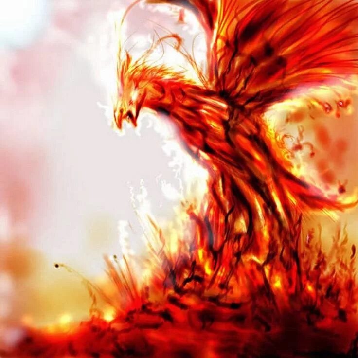 Феникс огненных гор. Феникс. Птица Феникс. Огненный Феникс. Птица Феникс возрождается из пепла.
