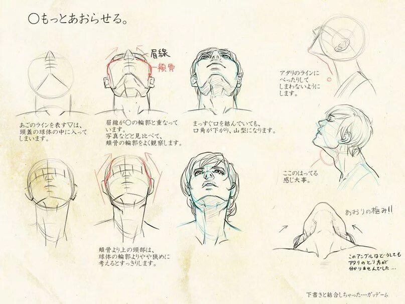 Референсы положения головы. Положение головы скетч. Референсы человека с поднятой головой. Ракурсы головы референсы. Референс значения