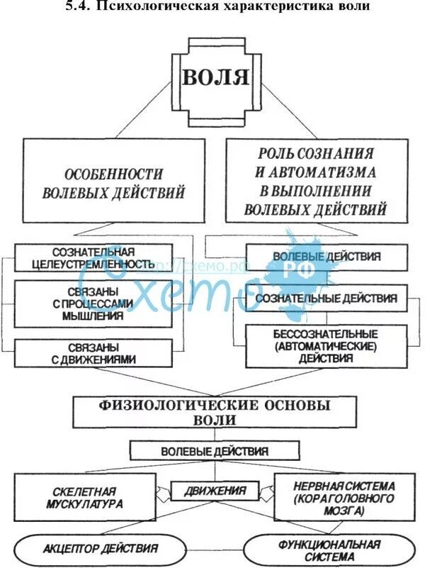 Характеристика воли человека. Характеристика воли в психологии. Воля в психологии таблица. Психологические характеристики воли. Характер и Воля психология.