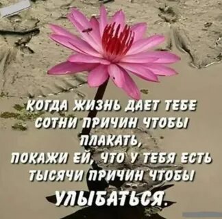 Текст и ты нашла уже тысячи причин