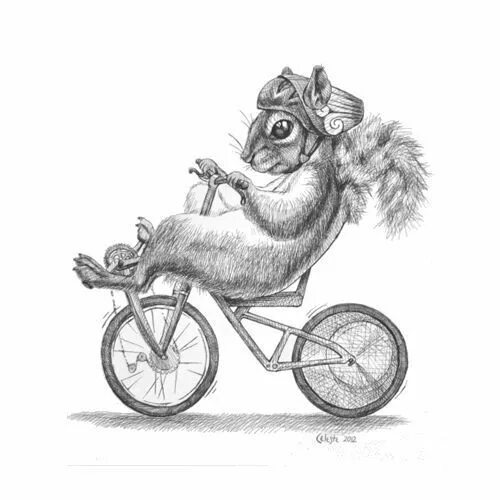 Белка на велосипеде картинки. Bike ride хомяк. Хомяк байкер. Bike ride хомяк. Мышка в колесе.