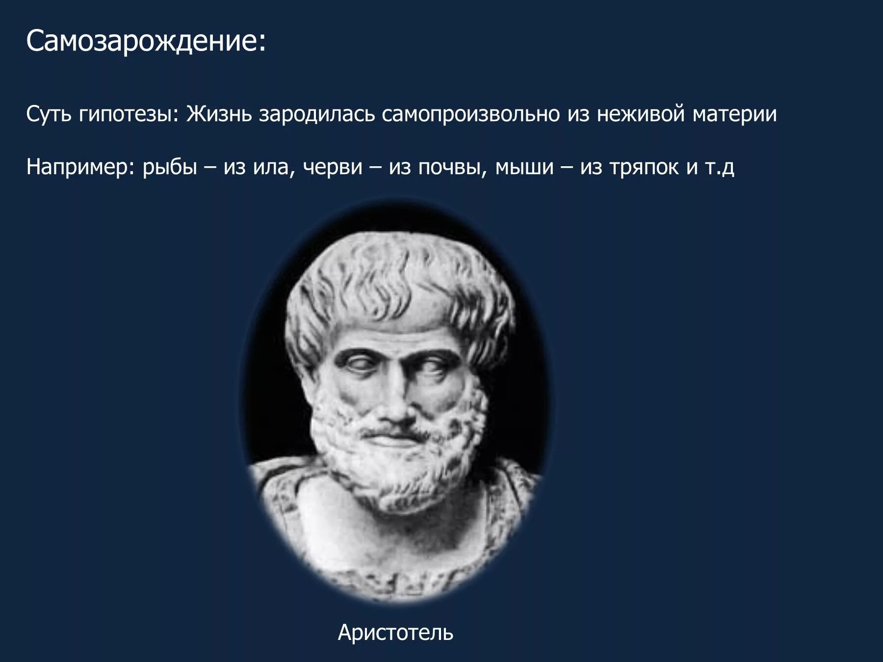 Происхождение жизни самопроизвольно. Аристотель самозарождение жизни. Гипотеза самозарождения жизни. Теория самозарождения жизни Аристотель. Теория самозарождение жизни + и - гипотезы.