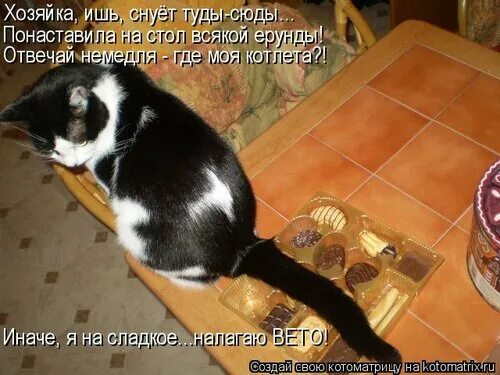 Меня нужно любить кормить. Люби корми и никогда не бросай гарфилд. Любить кормить и никому не отдавать. Любить кормить и никому не отдавать. Накорми меня мем.