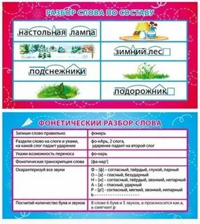 Поле разбор слова по звукам
