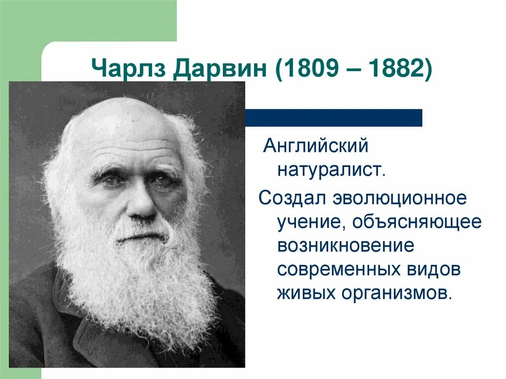 Великие ученые естествоиспытатели. Великие ученые естествоиспытатели. Ученые естествоиспытатели. Портрет вернадского владимира ивановича. Ученые естествоиспытатели.