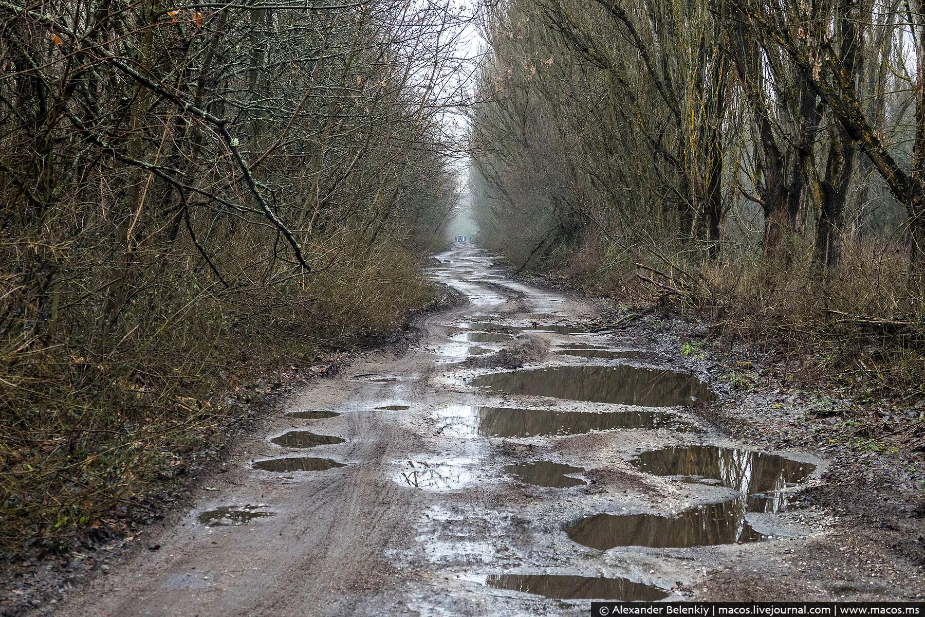 Припять дороги. Железная дорога припять. Зона отчуждения дороги. Припять дорога. Копачи чернобыль.