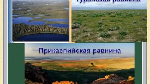4 низменность