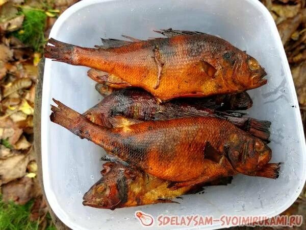 Сколько соли для копчения окуней. Окунь речной горячего копчения. морской окунь горячего копчения. морской окунь холодного копчения. окунь речной холодного копчения.