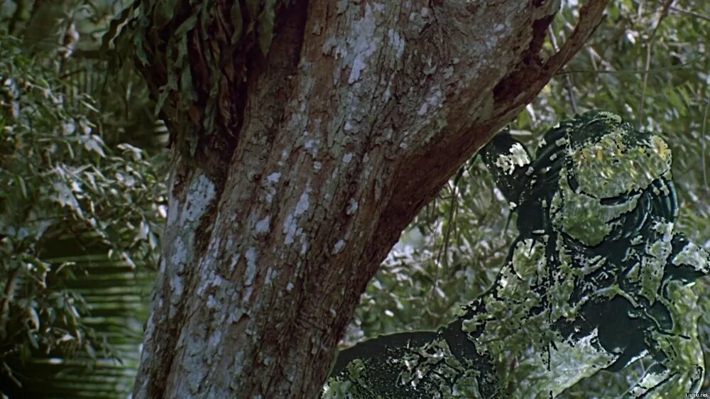 Хищник 1987 невидимый. Маскировка хищника. Хищник 1987 невидимый. Камуфляж predator. Маскировка- невидимка хищник.