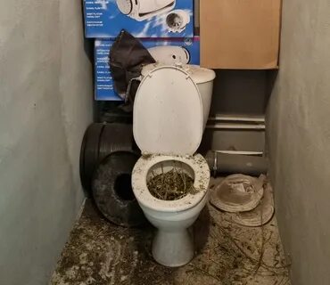 Леха унитаз