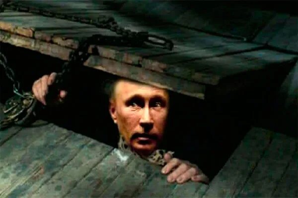 Дыры продажной твари