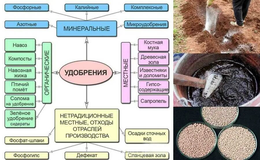 Примеры органических удобрений. Минеральные,комплексные,органические удобрения таблица. Классификация органических удобрений схема. Виды Минеральных удобрений. Минеральные удобрения для почвы.