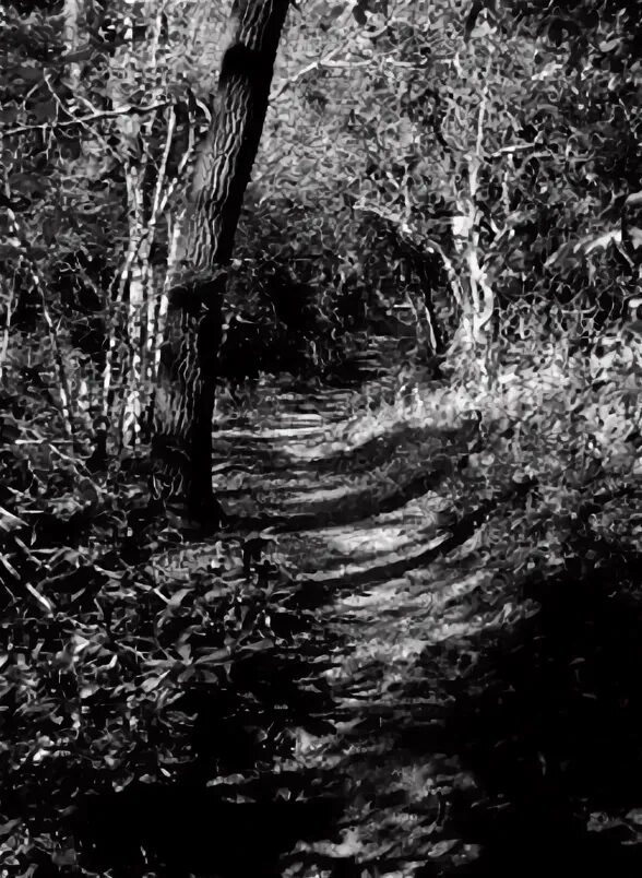 Открывается настежь предложение. В настежь открытые окна спальни глядел. Я не видел вас целую неделю. Мне попалась какая то неторная заросшая дорожка. Тургенев между тем ночь приближалась и росла.