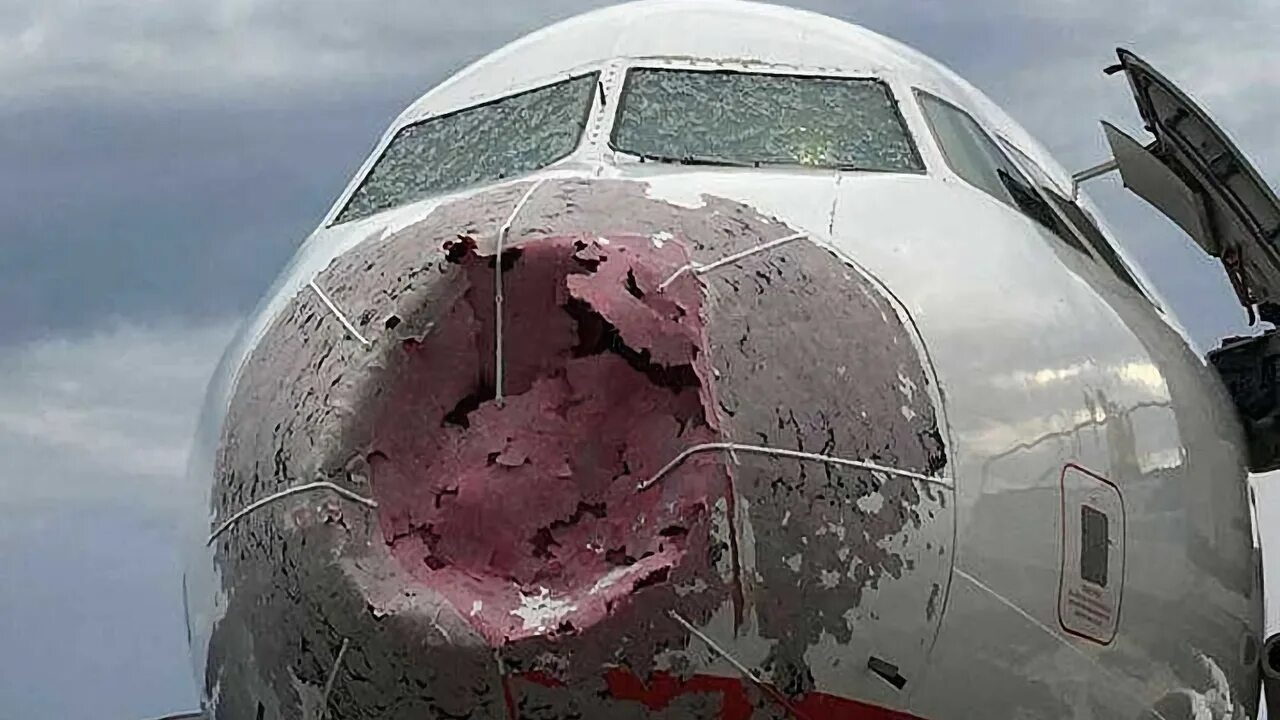 Самолет попал в воздушную. Попадание птицы в самолет.