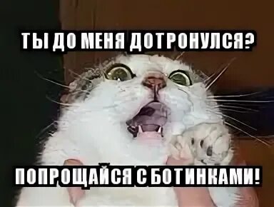 Цитата самая большая ненависть возникает к тем кто. Самая большая ненависть возникает к тем кто сумел дотронуться. Цитаты про ненависть к людям. Самая большая ненависть возникает к тем. Открытки бог любит тебя и я люблю тебя.