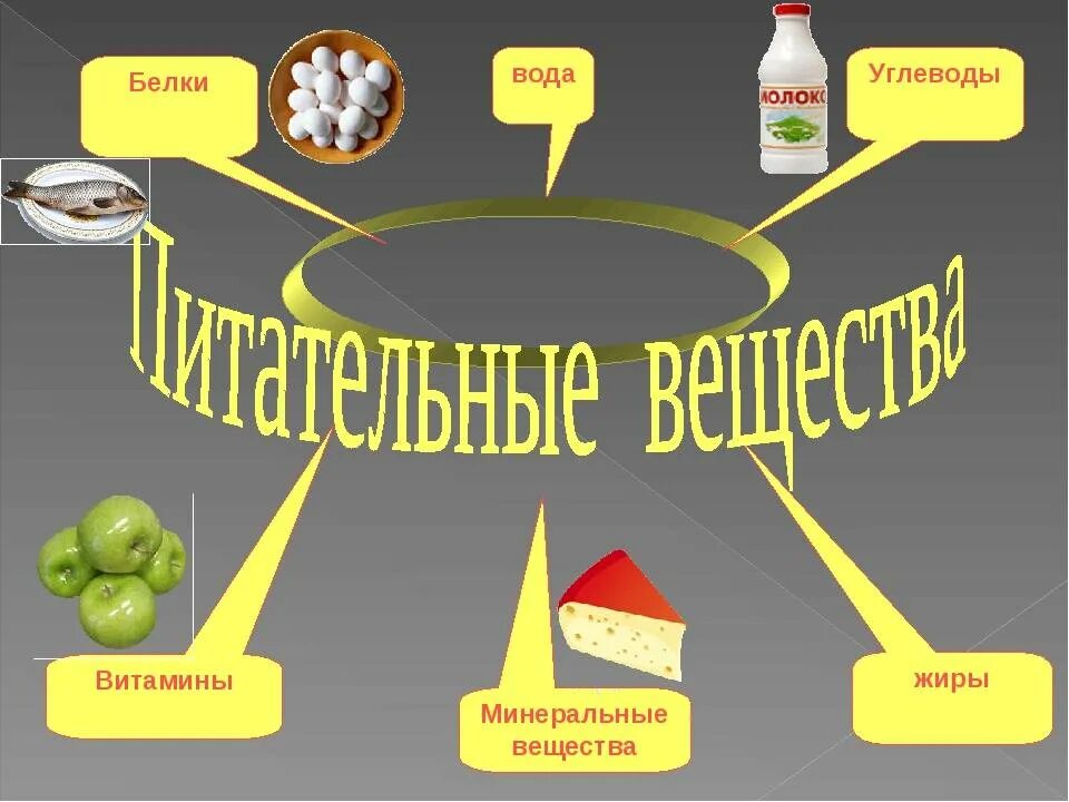 Пищевые вещества продуктов питания. Белки жиры углеводы витамины минералы. Белки жиры углеводы витамины Минеральные вещества. Питательные вещества в продуктах питания. Пища и питательные вещества.