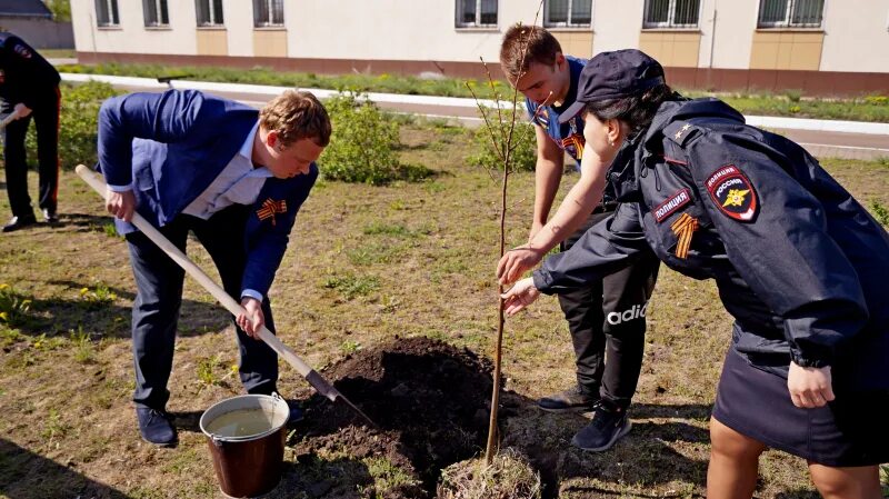 Новости начавшегося дня. АРПОИС РФ. Прокуратура БФ Калининград посадка деревьев и кустарников. Практика в Липецкой области.