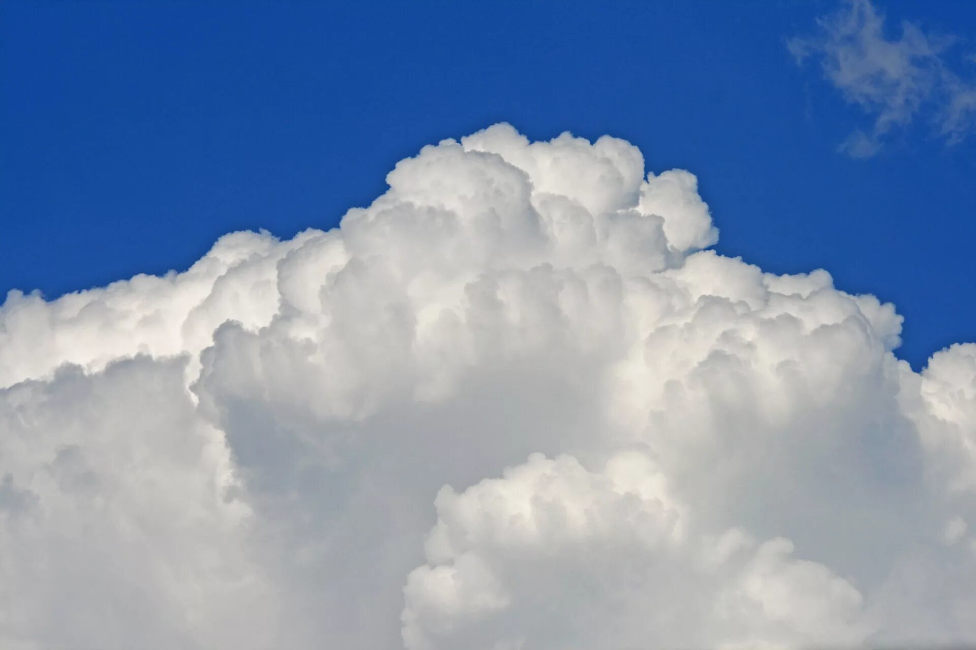 Back cloud