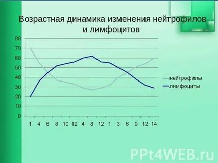 Перекрест лимфоцитов и нейтрофилов у детей