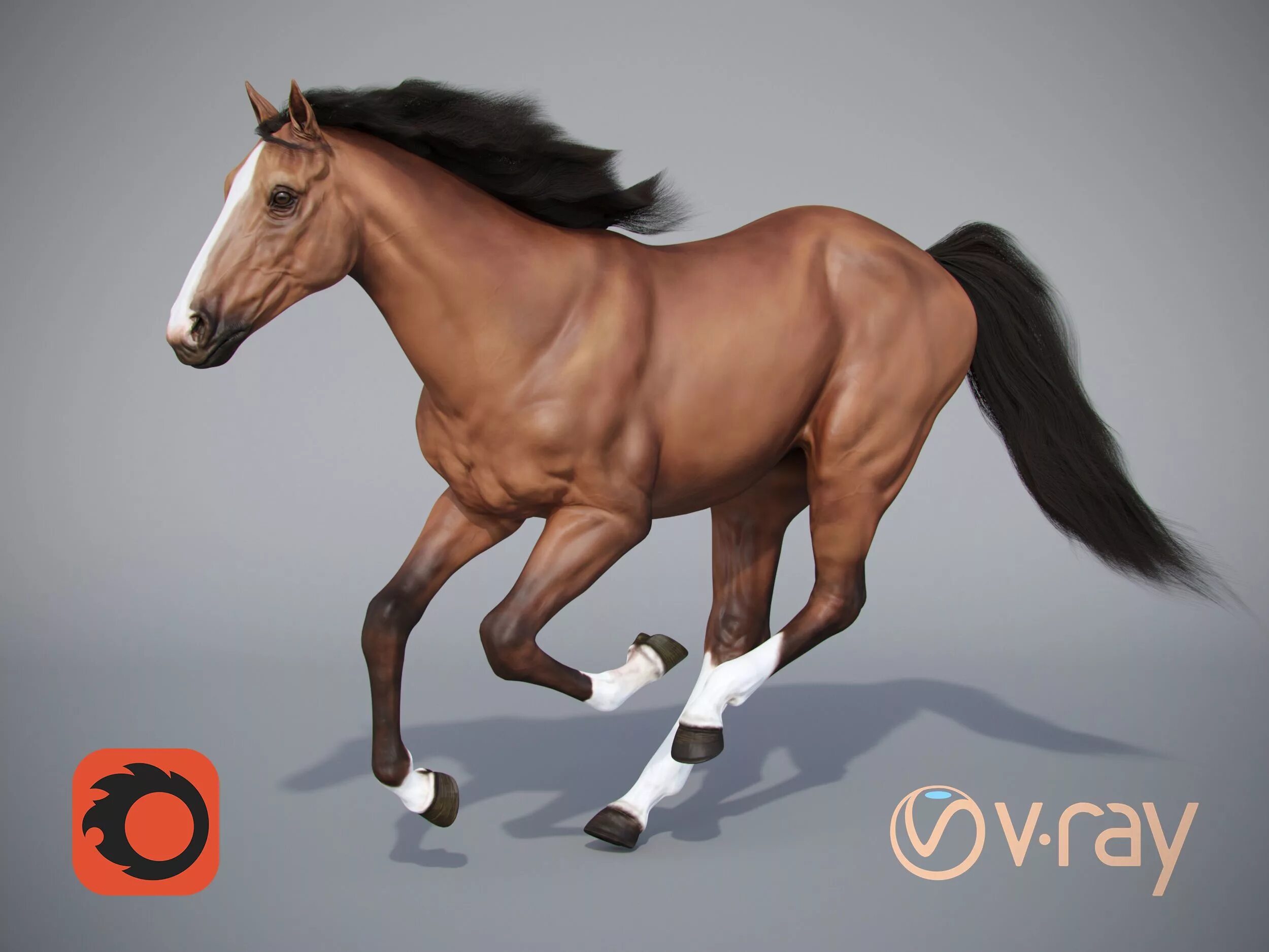 Horses model