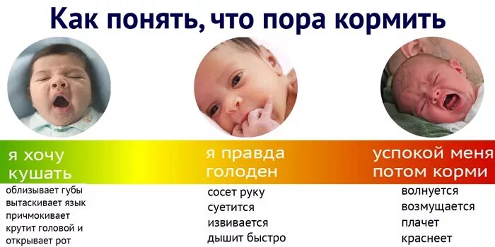Как понять что новорожденный голодный. Как понять что ребенок не наедатся грудным молоко. Как понять что новорожденный наелся. Самые голодные новорожденные детки. Как понять что новорожденный голодный.