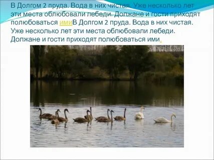 Долга пруд