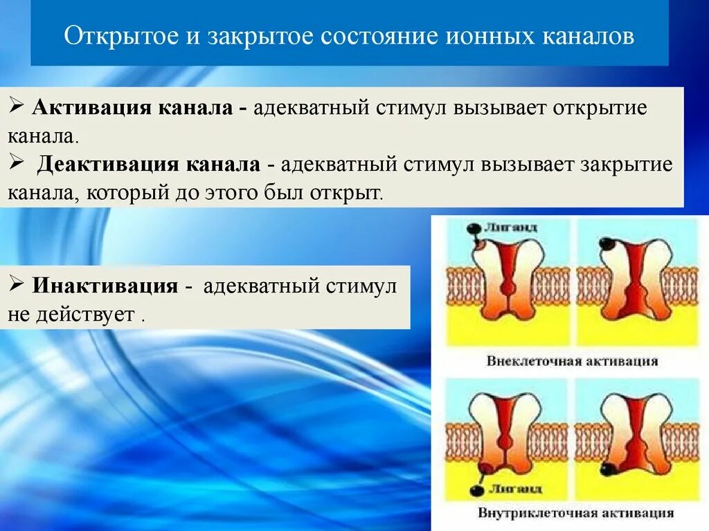 Открытые и закрытые каналы