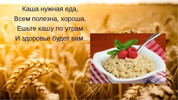 Стихи про кашу для детей. Крупы для здорового питания. Ешьте кашу по утрам будете здоровы. Стихотворение про кашу для детей.