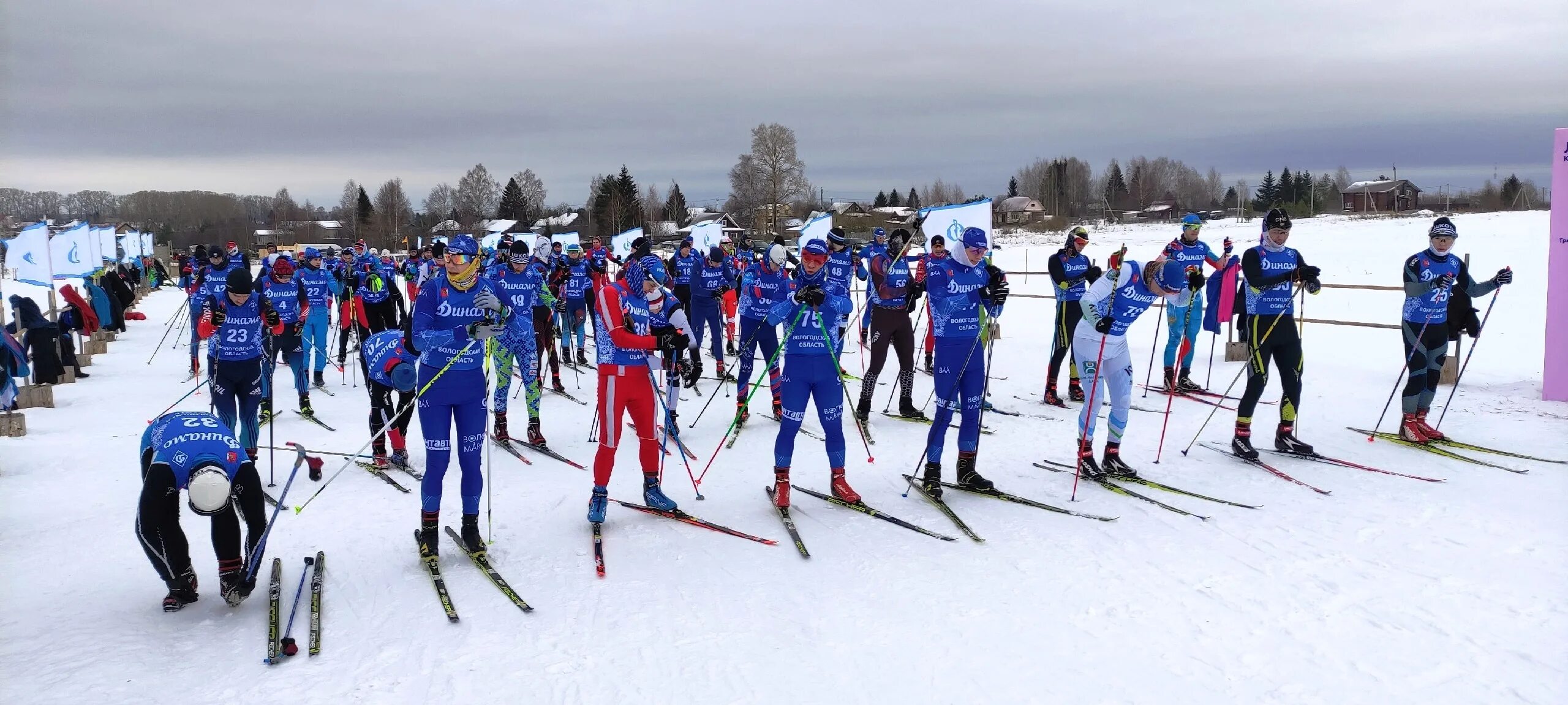 Вологда лыжные гонки федерация. Вологодские лыжные гонщицы. Спорт лыжные гонки. Лыжники вологда. Лыжники вологодской области.