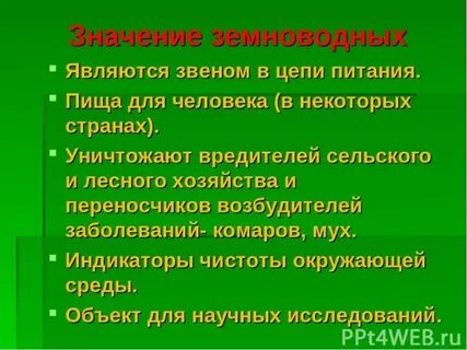 Значение земноводных 8