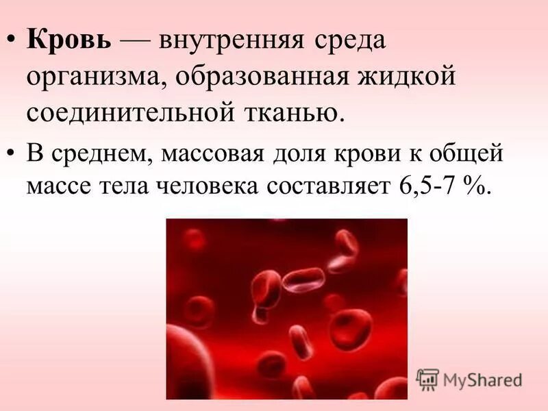 Какого значение крови для организма. Конспект на тему кровь. Внутренняя среда организма кровь.