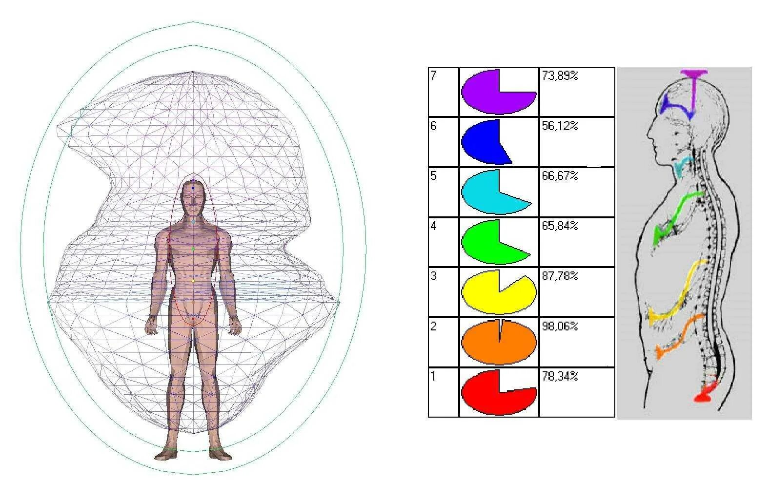 Аура человека что это. Аура человека схема. Аура чакры биополе человека. Биополе человека Аура цвета. Адаптометрия биополя человека.