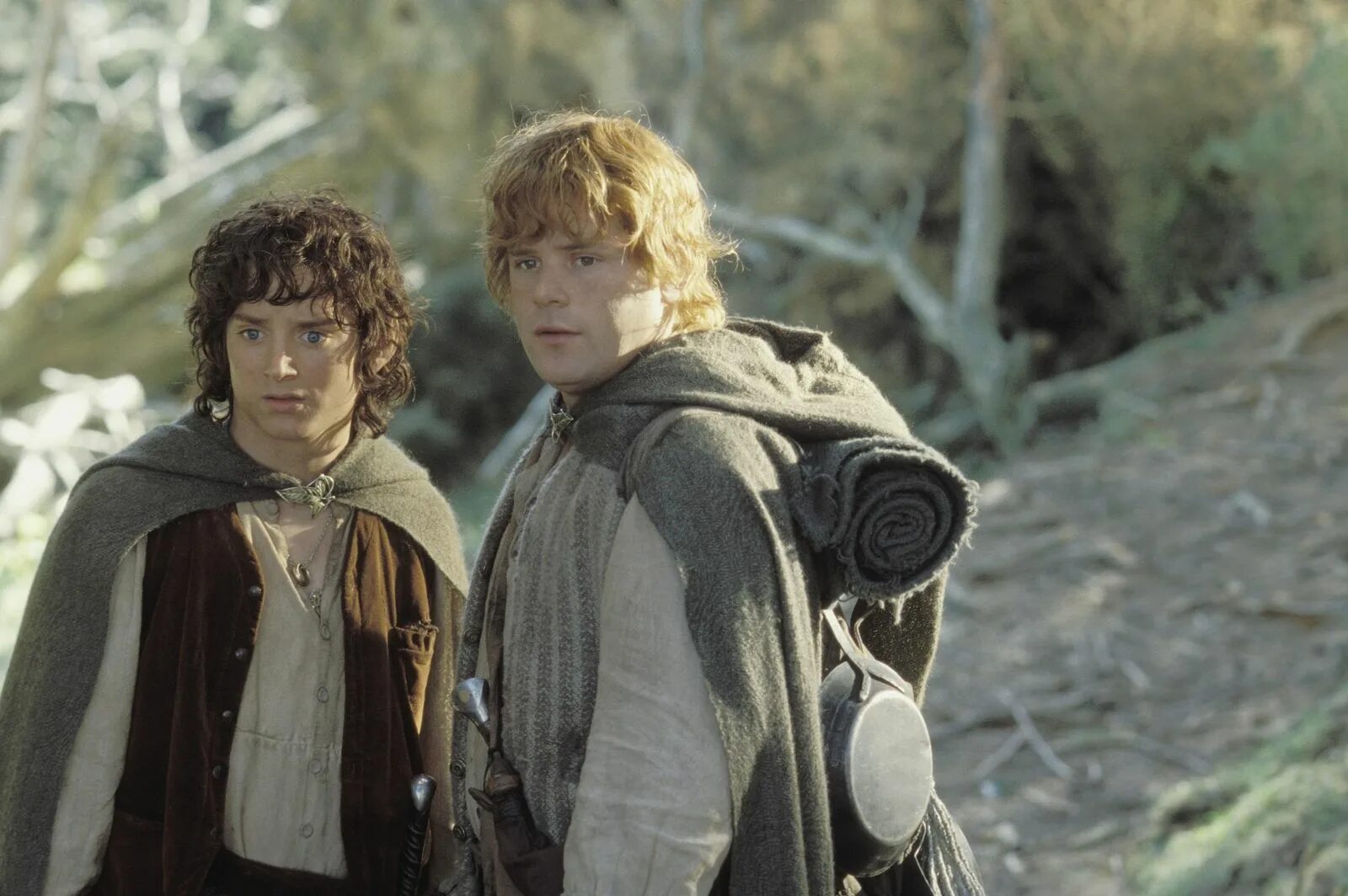 Хоббит сэмуайз гэмджи. Фродо бэггинс и сэмуайз гэмджи. Сэм гэмджи властелин колец. Сэм гэмджи актер. Сэмуайз гэмджи актер.