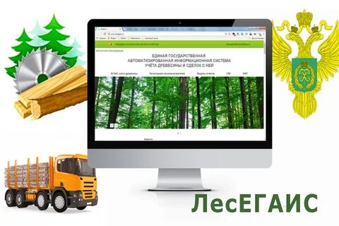 Егаис федеральное агентство лесного хозяйства