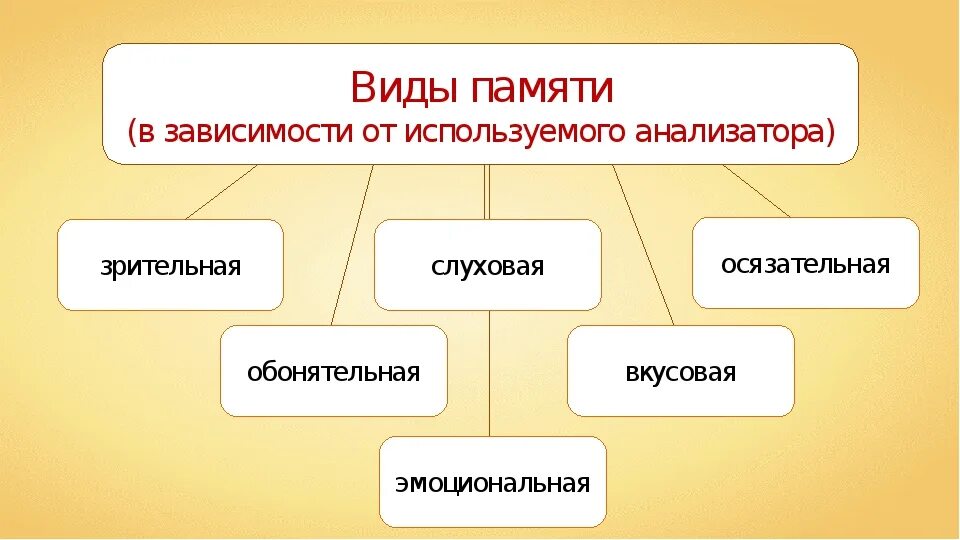 Тема урока памяти. Виды памяти. биология.память. виды памяти. типы памяти биология. виды памяти у человека.